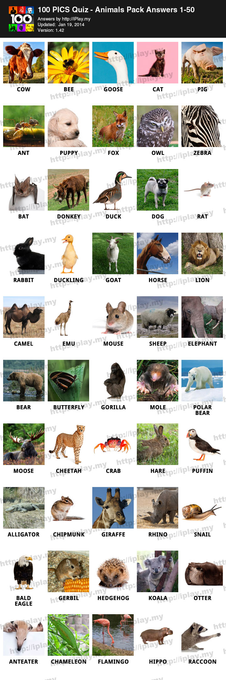 100 PICS Quiz – Animals Pack Answers 