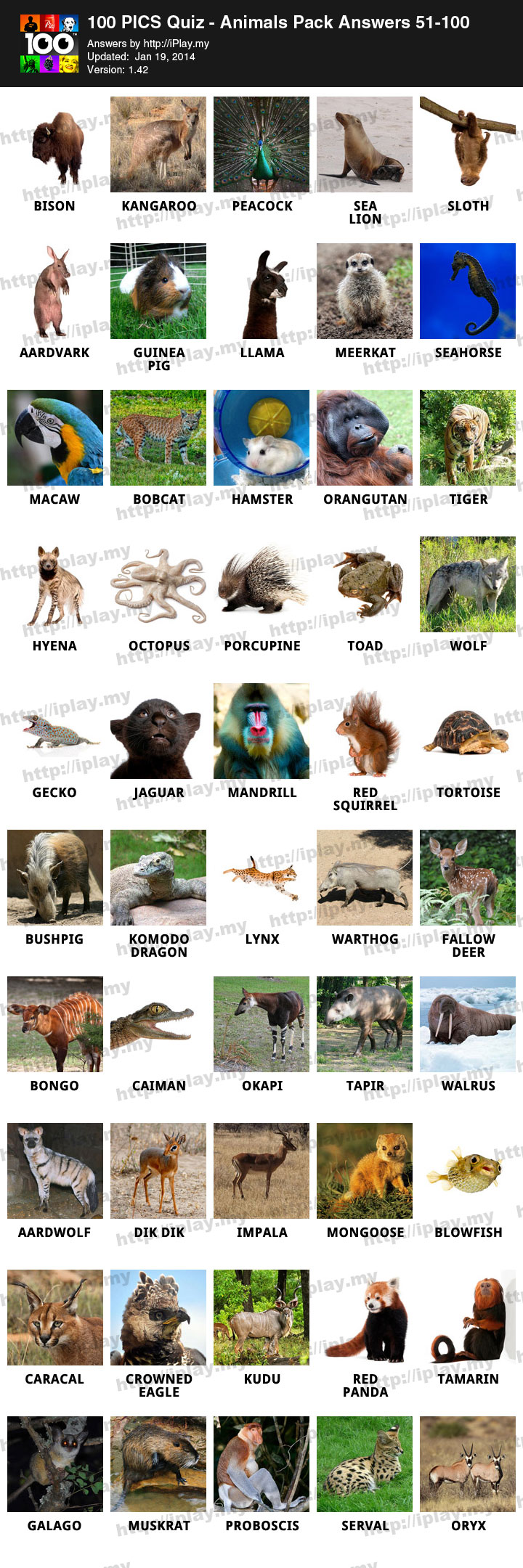 100 PICS Quiz – Animals Pack Answers 