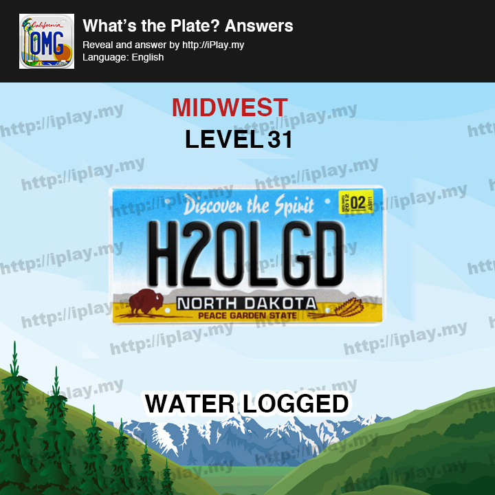What's the Plate Midwest Level 31